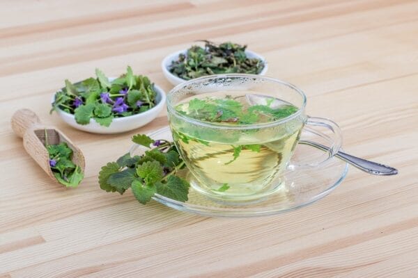 The Shocking Truth About How Herbal Detox Tea Affects Your Mood